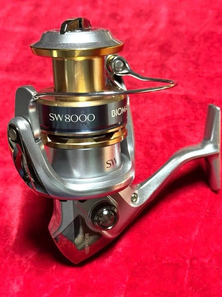 13 Biomaster SW 8000PG