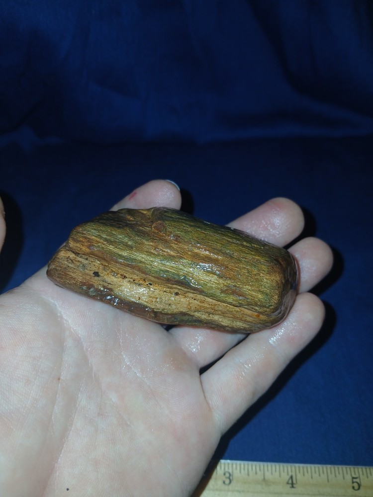 6 oz Red Petrified Wood