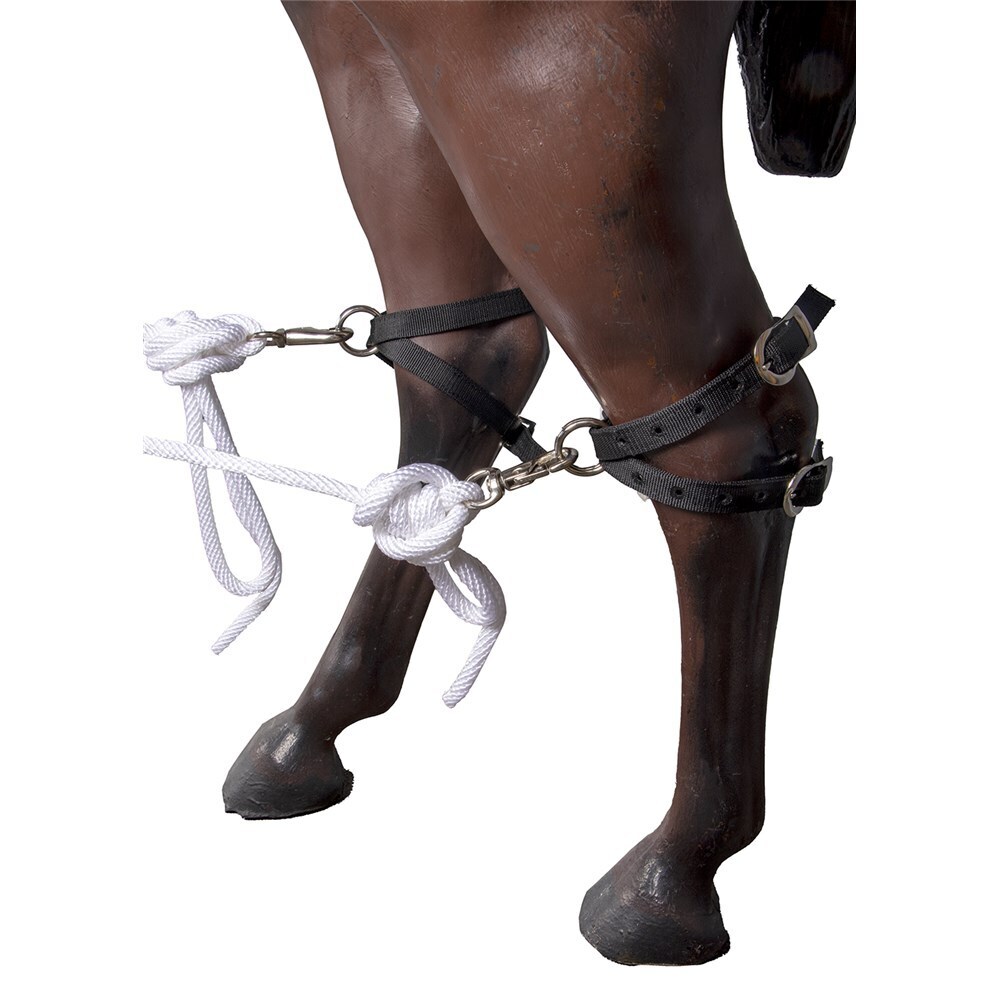 Stc Nylon Horse Breeding Hobbles