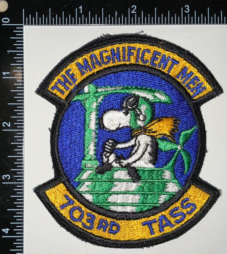 USAF US Air Force 703rd TASS Tactical Air Support Squadron Patch