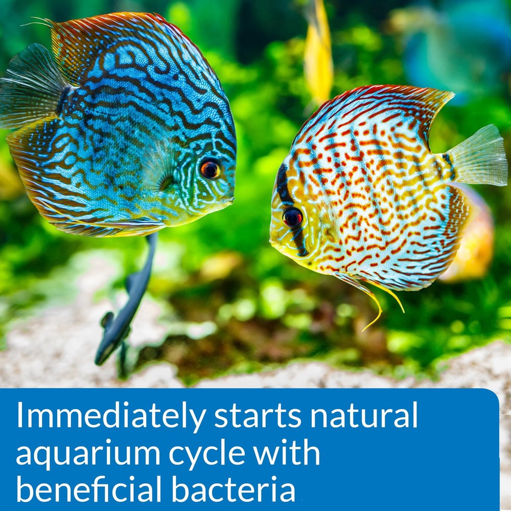 API QUICK START Freshwater Saltwater Aquarium Nitrifying Bacteria