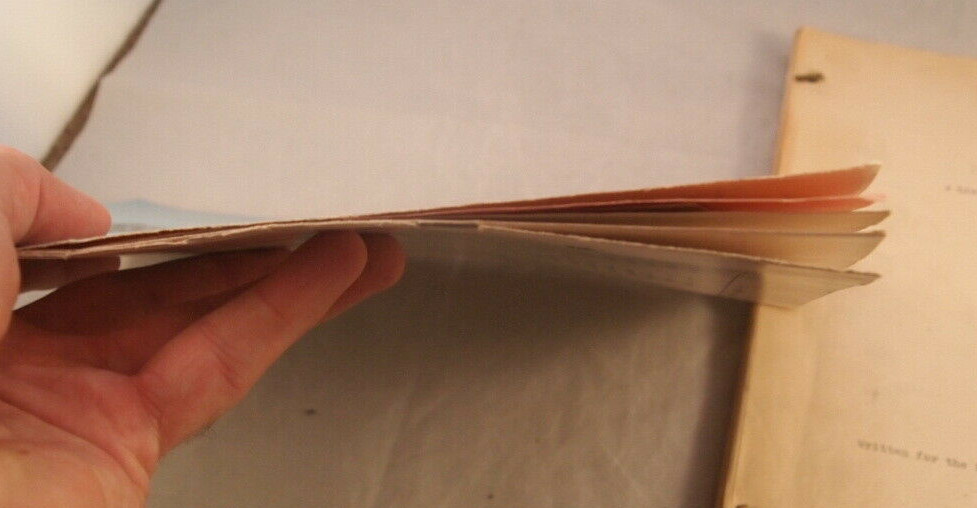 Meet The World 1949 UCLA Play Script With Original Play Program Rare Women's