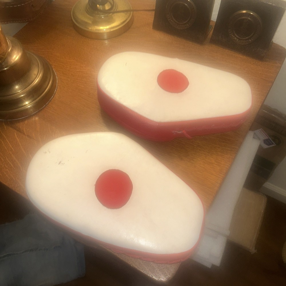 DANRHO Focus Punching Mitt