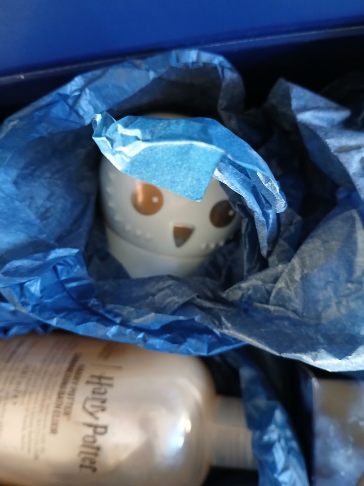 Harry Potter Gift Bundle, Bath collection set, Box, Makeup, Backpack.