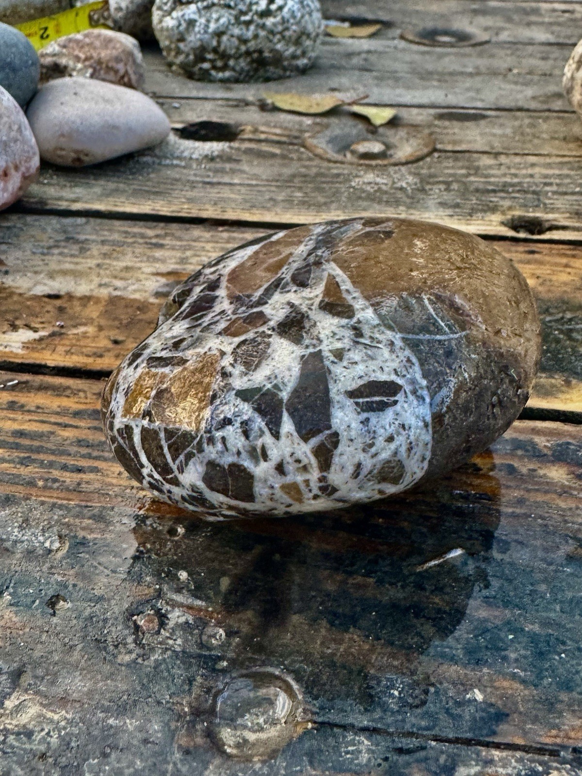 Rocks For Sale Beautiful Matrix Conglomeration Stone Rough Unpolished