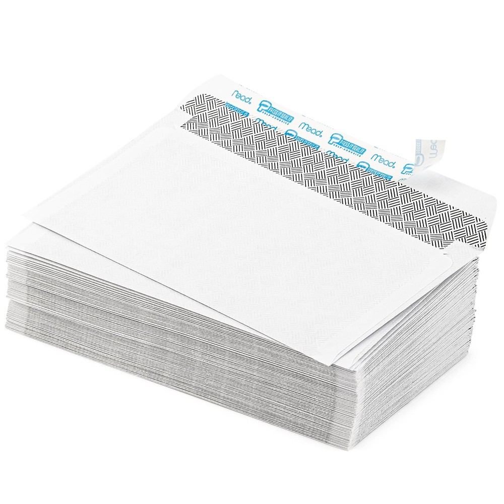 500-Pcs Self Seal #6-3/4 Small Envelopes Security Lining