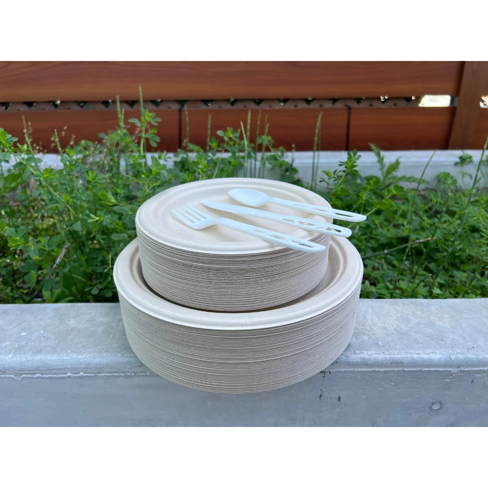Plates & Cutlery Set (100 guests)