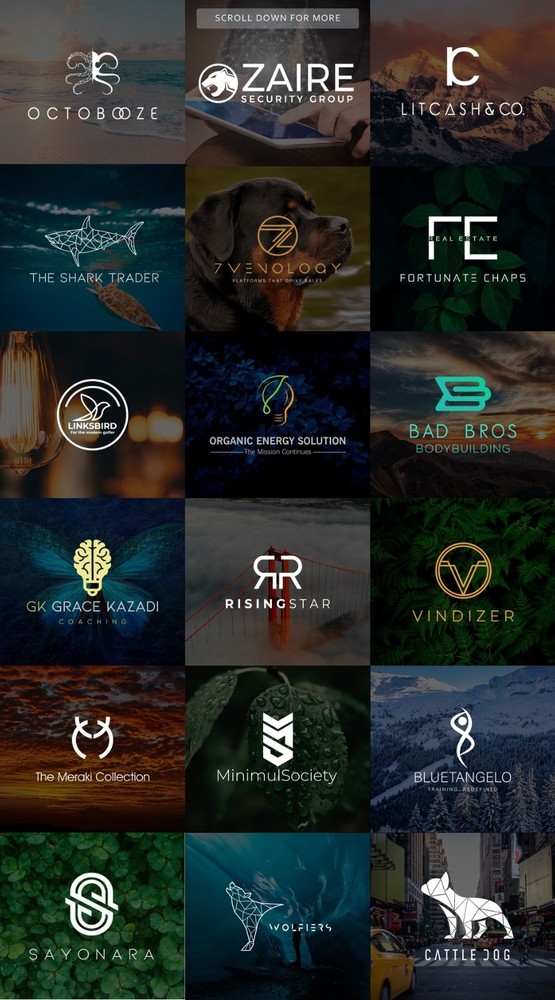 PROFESSIONAL CUSTOM LOGO DESIGN FOR BUSINESS + UNLIMITED REVISION | GRAPHICS