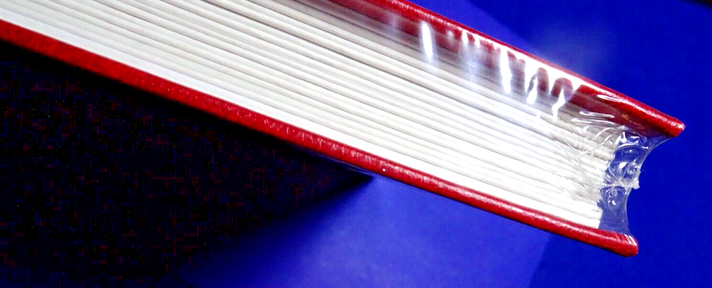 LINDNER STOCK BOOK RED HARD COVER 2 SIDED 16 PAGE WHITE 10 STRIPES PER PAGE SEAL