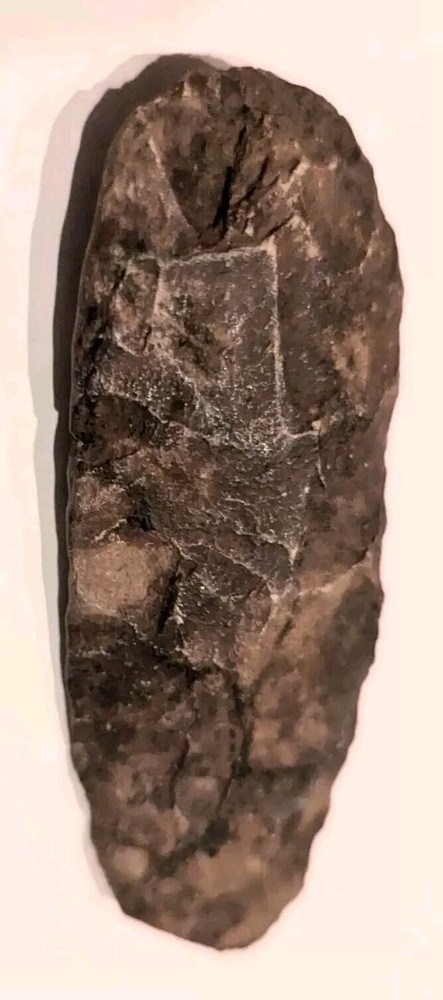 AXEHEAD NEOLITHIC STONE CHISEL TOOL CELT ADZE BLADE TUAREG ARTIFACT NIGER ETHNIX