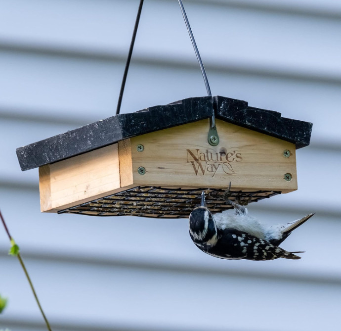 CWF2 Cedar Suet Upside-Down Bird Feeder, Black