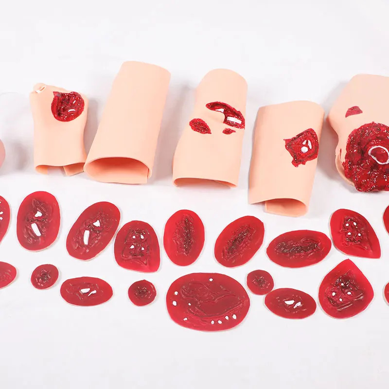 Trauma Evaluation Module Emergency Care Medical First Aid Simulation Model 16Pcs