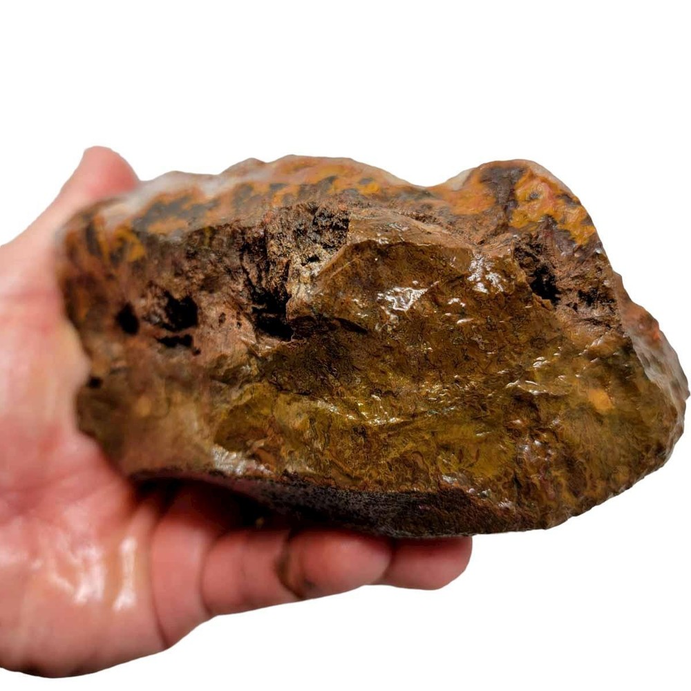 Moroccan Plume Agate Rough Chunk!