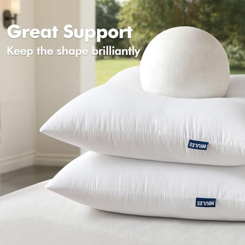 Pack of 18x18 Outdoor Pillow Inserts, Outdoor Throw Pillows Water 18x18 Inch 2