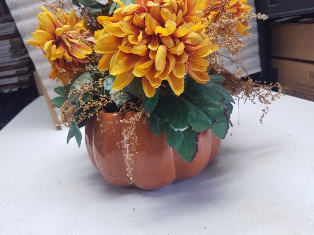 Ftd Pumpkin Shaped Flower Pot (V)