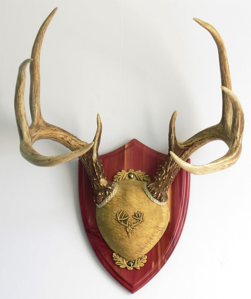 TTW Ultimate Antler Mounting Kit - Cedar