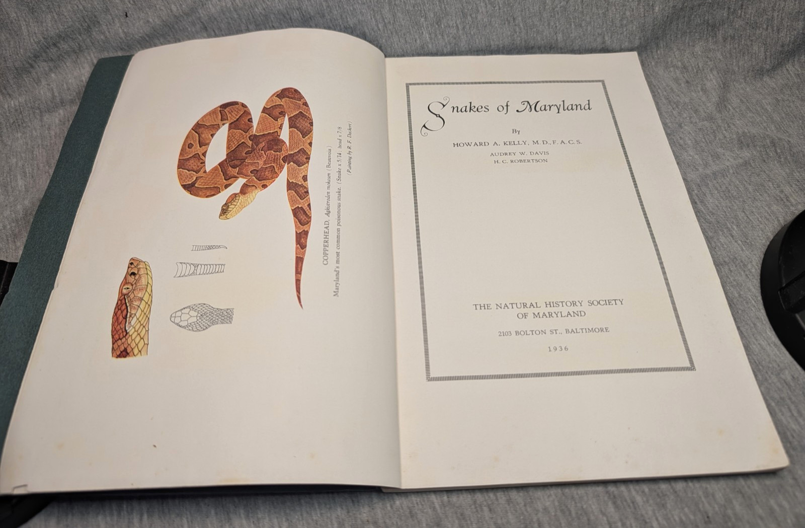 1936 Snakes of Maryland Illustrated Book Howard Kelly Color Plates 1st Edition