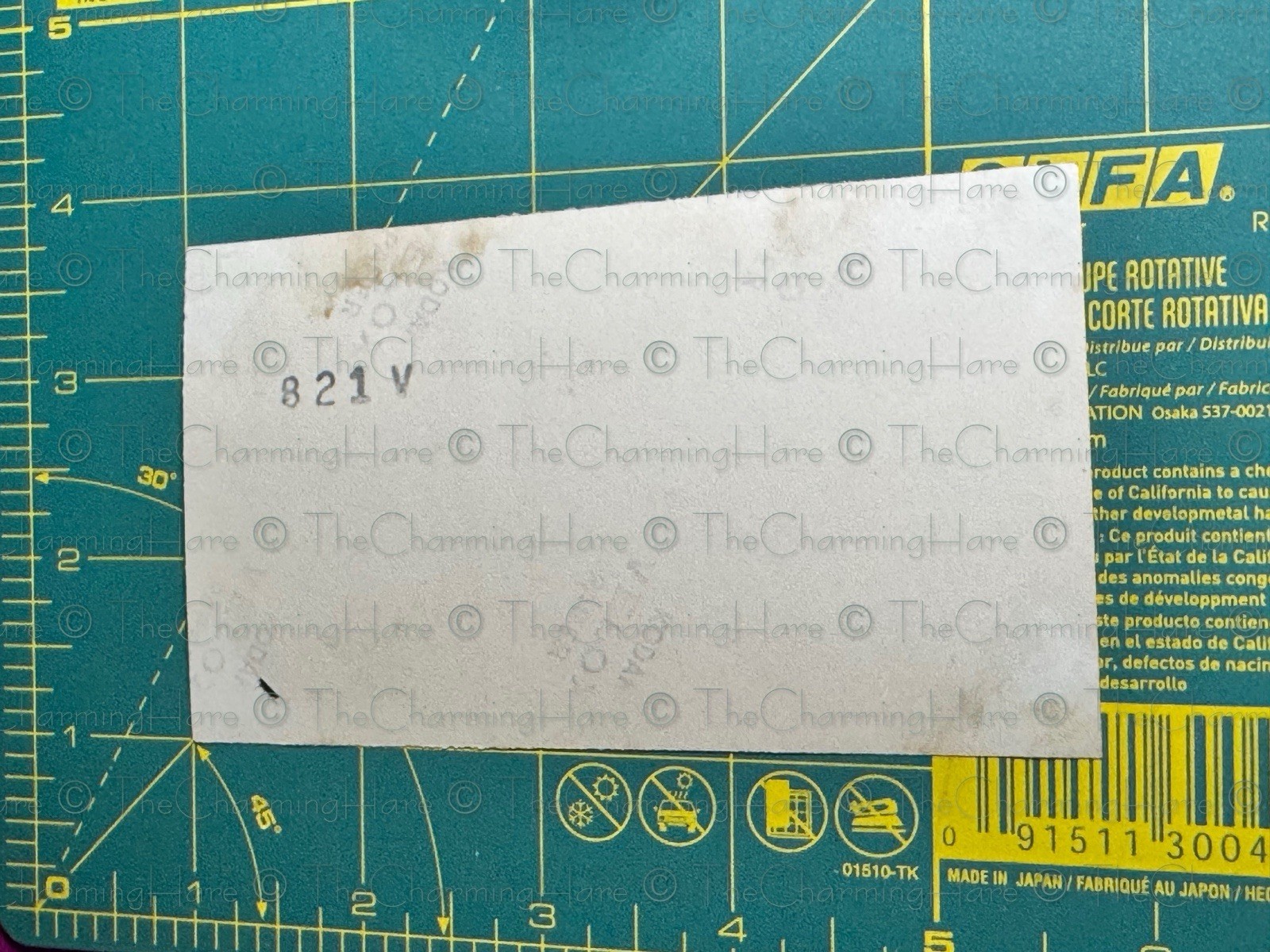 Vintage Photo Attractive Lady Weimaraner Breed Dog Pet 1940’s