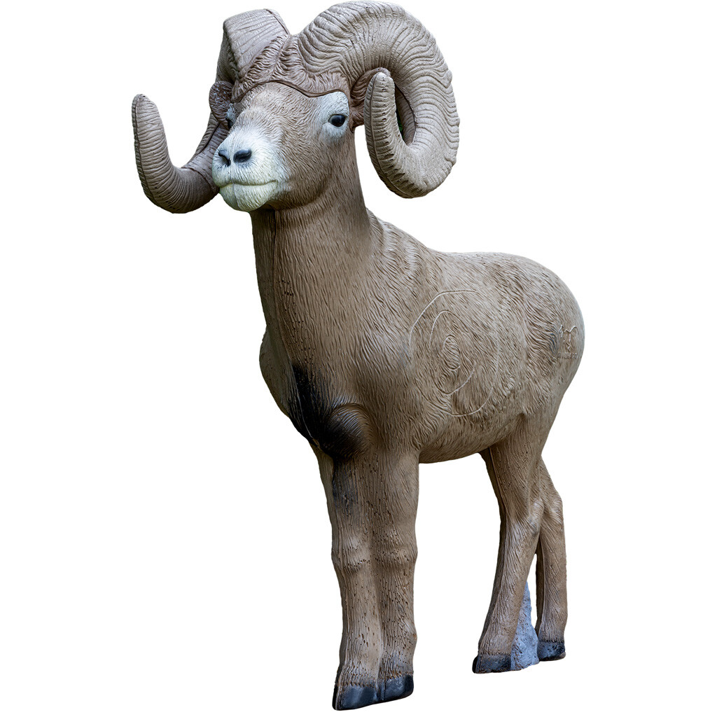 Rinehart Â½ Scale Signature Bighorn Sheep Target