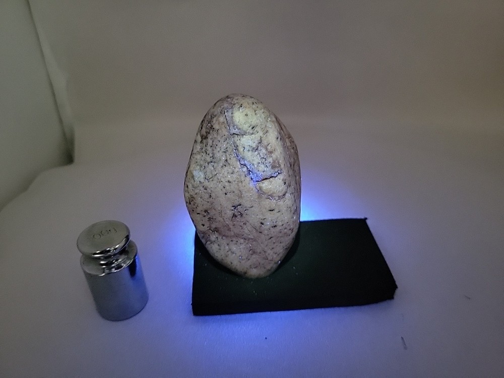 Real Dinosaur Egg Fossil Uv Reactive Permineralization fossil
