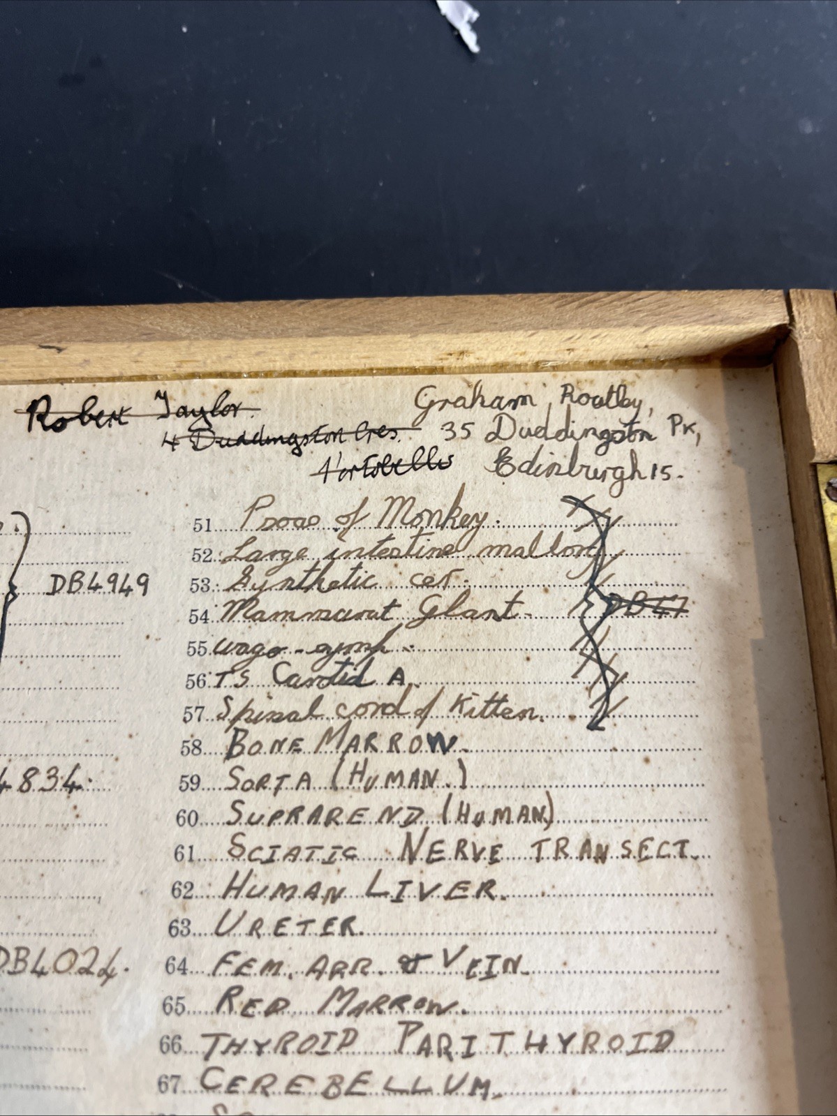 Antique 1936 University of Edinburgh Histology Microscope Slide Set Case 83