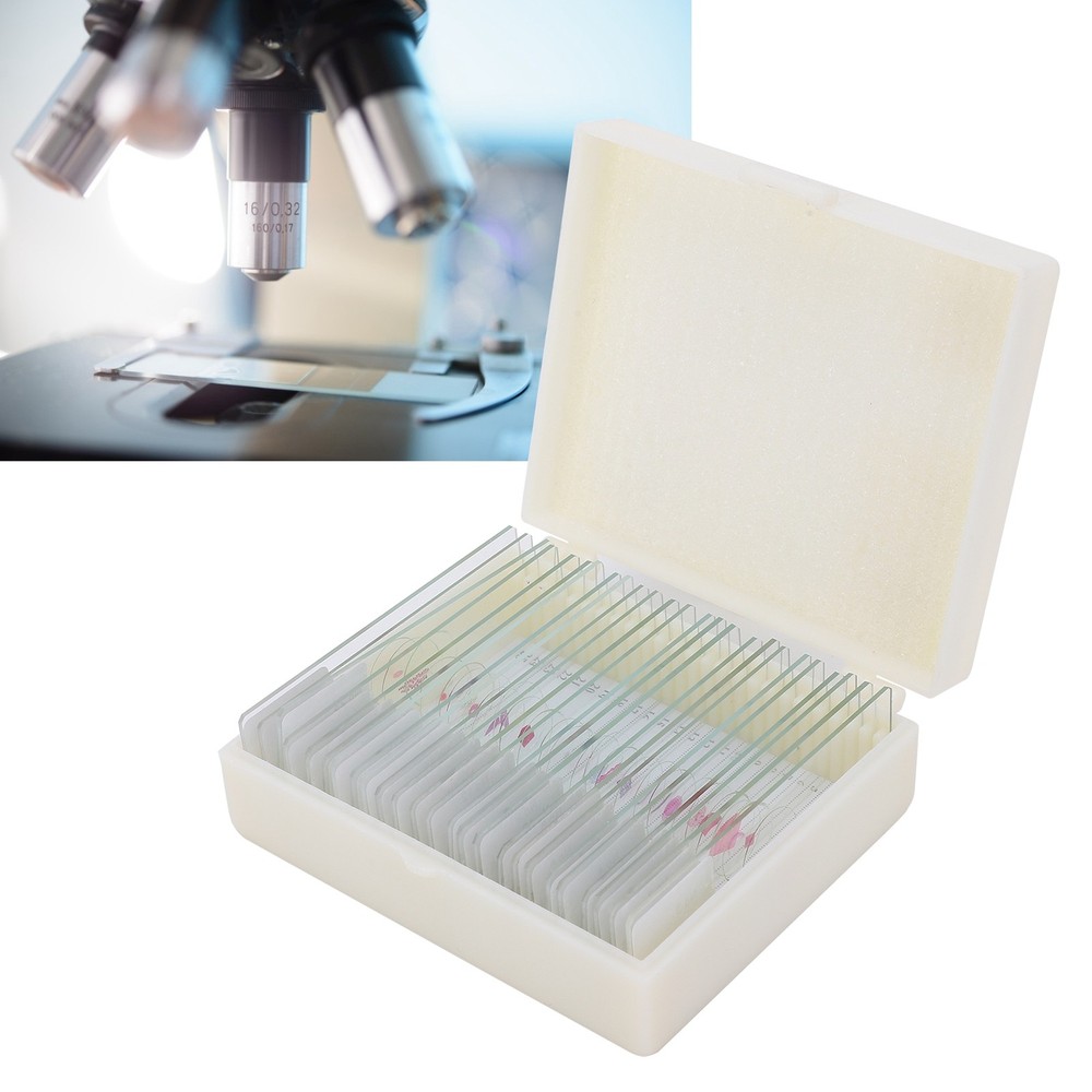 DW-25 25Pcs Animal Slide Set For Microscope Study Science Education