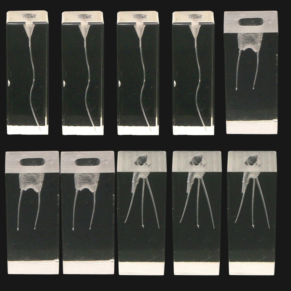 Dental Resin Training Study Endo Root Canal Teeth Model Practice Block RCT Pulp