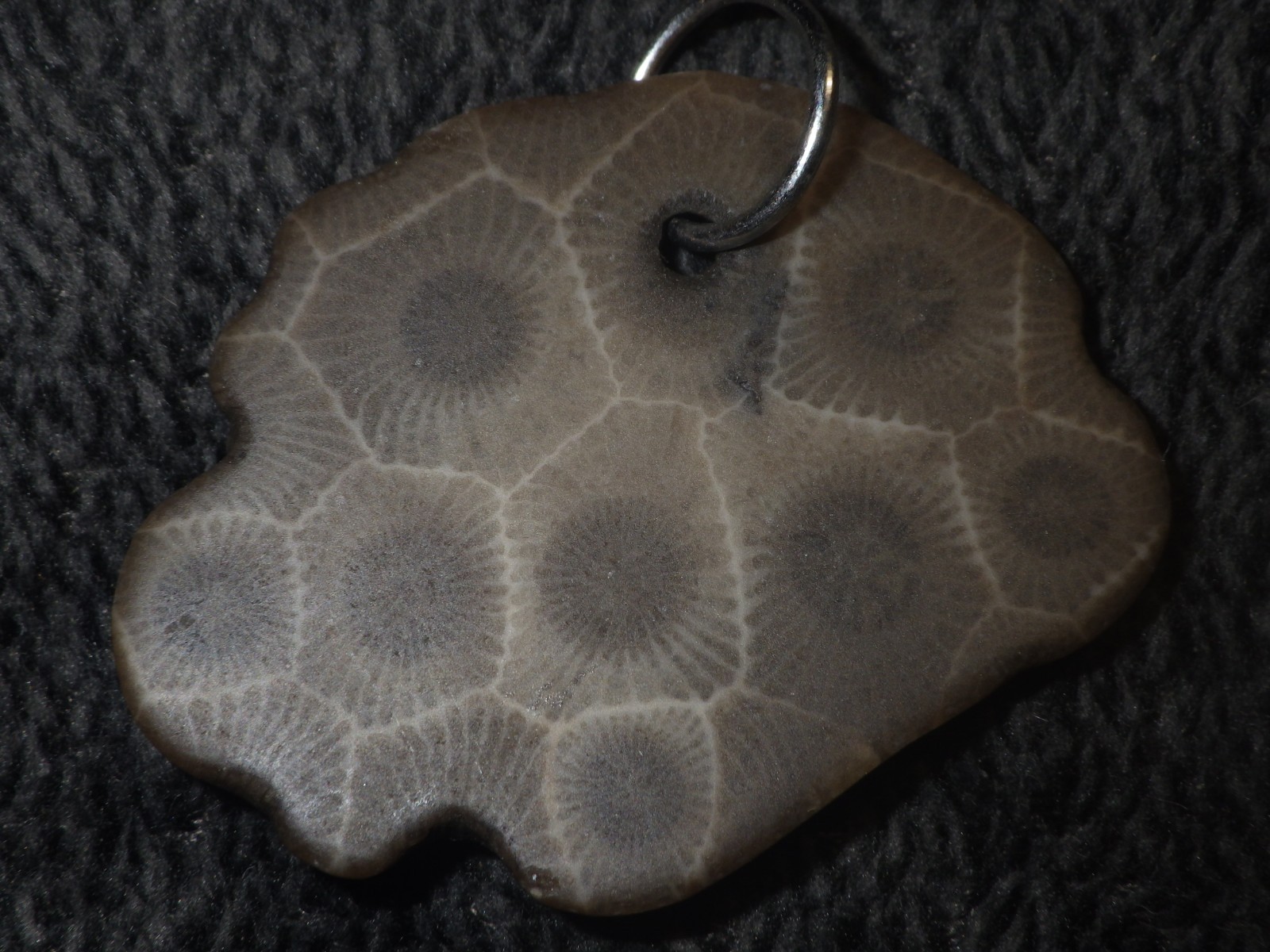 Petoskey Stone Pendant