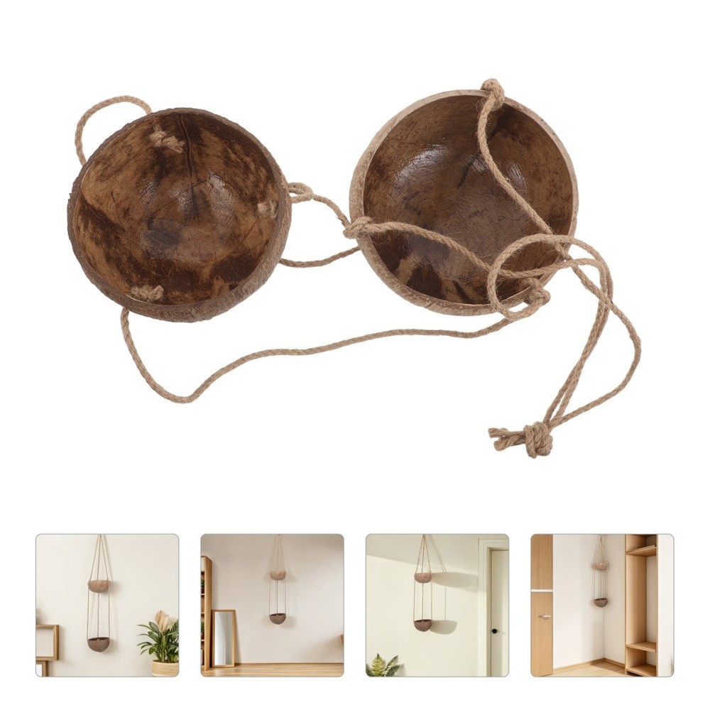 Bedroom Hanging Planter Decorative Coconut Shell Flower