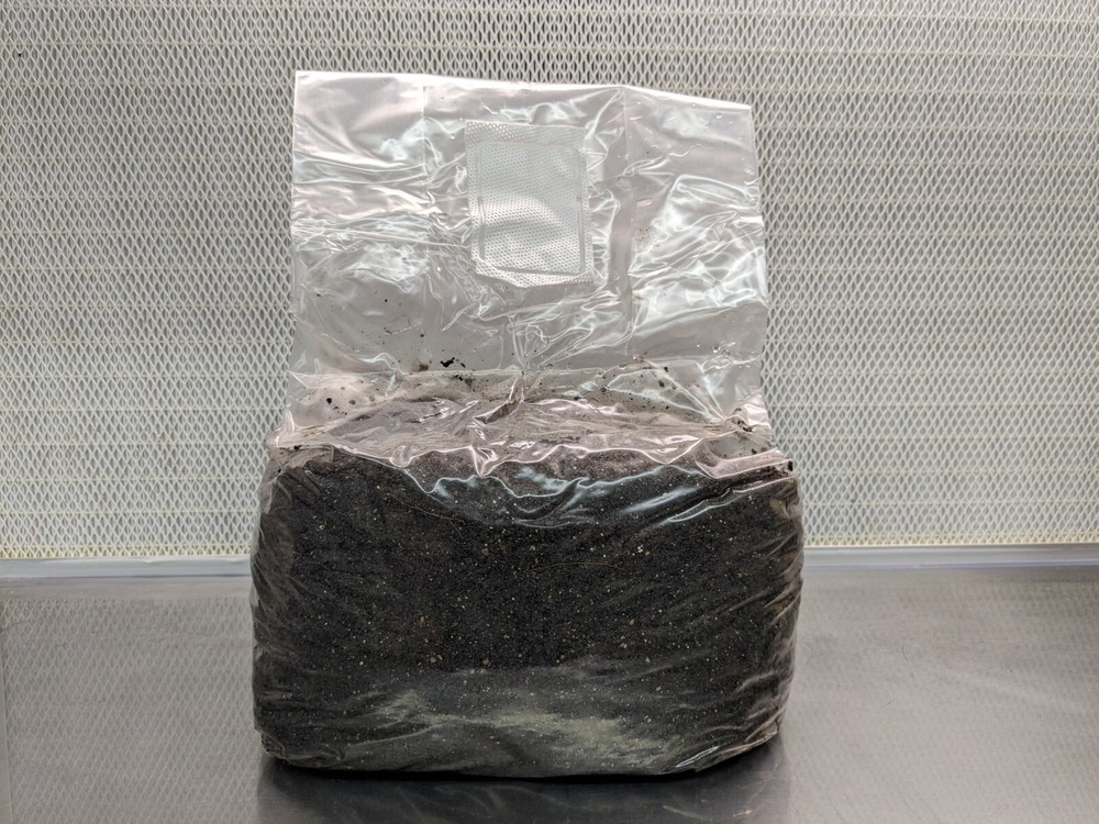 5 LBS Black Coco Mushroom Substrate