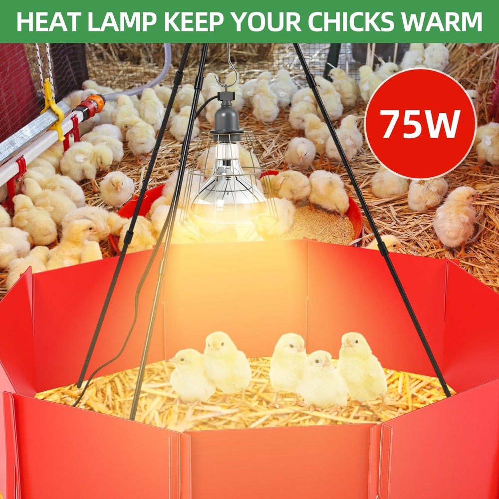 8 Pcs Chick Starter Kit Include Chicken Brooding Box with 75w Heat Lamp, Heat...