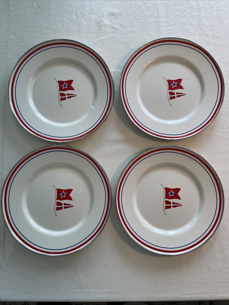 4 American Picnic Enamelware 9” Plates