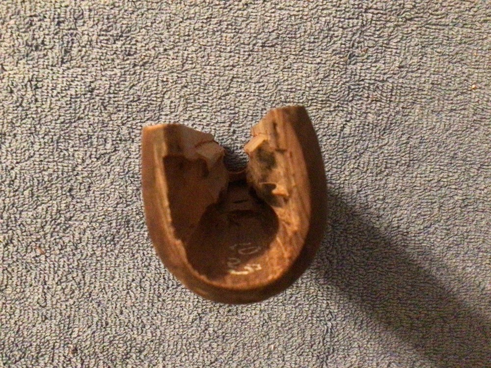 Colt Lightning .22 Deluxe Forend Walnut Repro