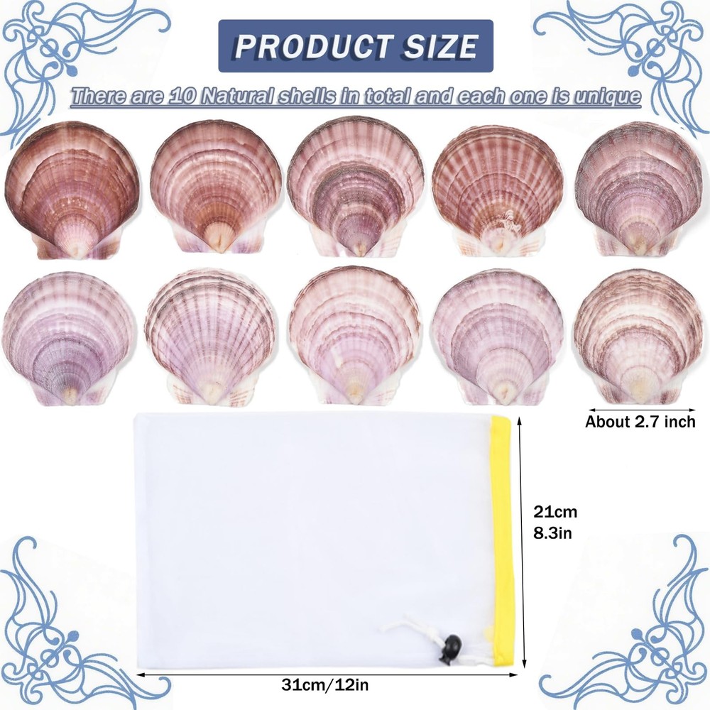 Decoupage Crafts Shells, Large Real Shells, 20PCS Clean Purple Shells with Ba...