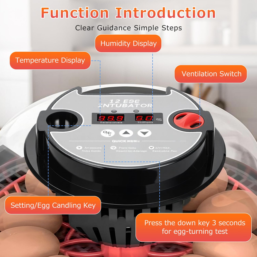 12 Egg Incubators for Hatching Eggs Automatic Egg Incubator with Temperature Con