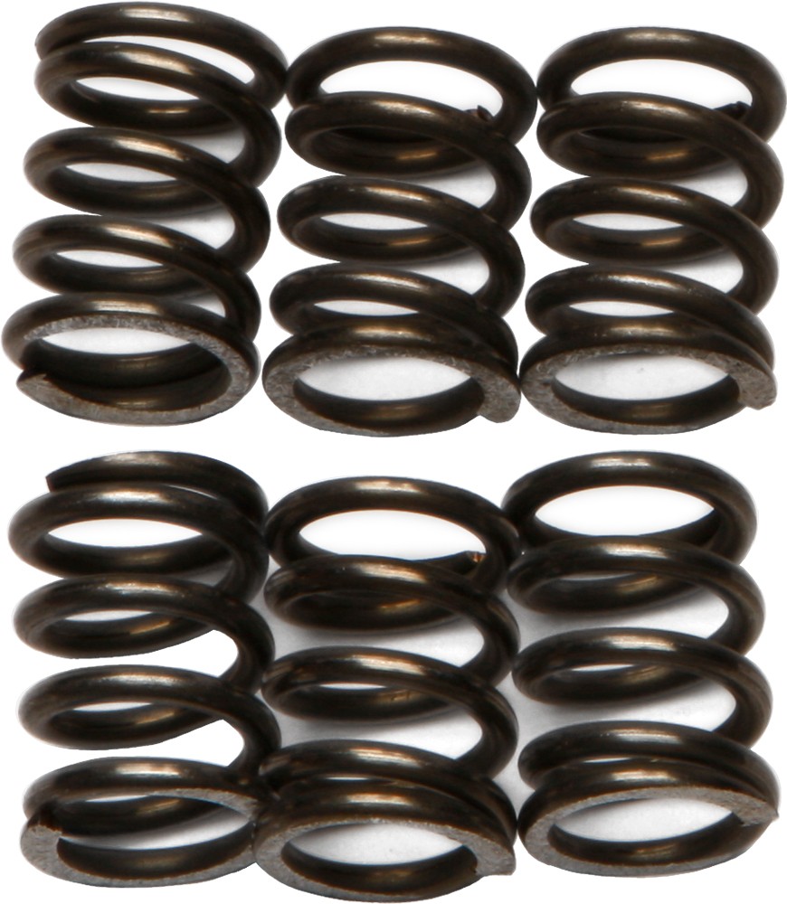 Ebc Clutch Springs Csk72 Clutch