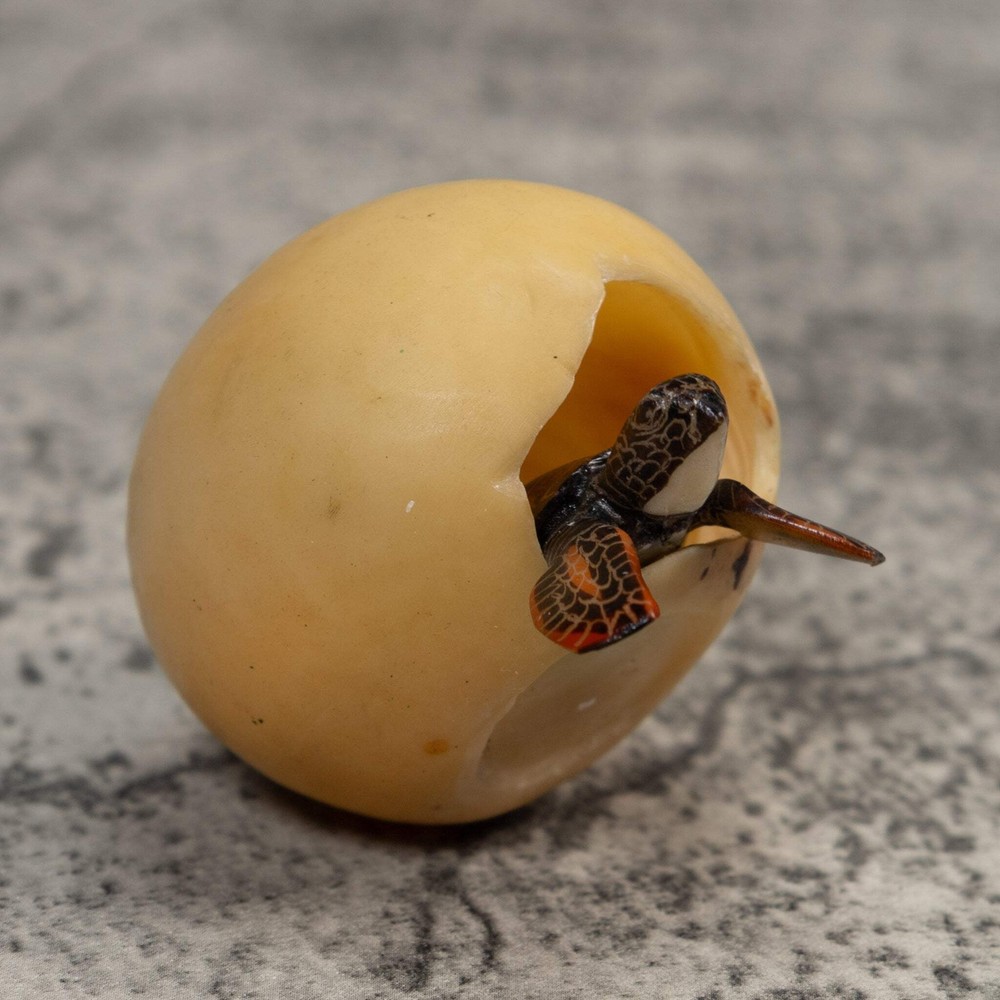 Sea Turtle Emerging From Egg Tagua Carving