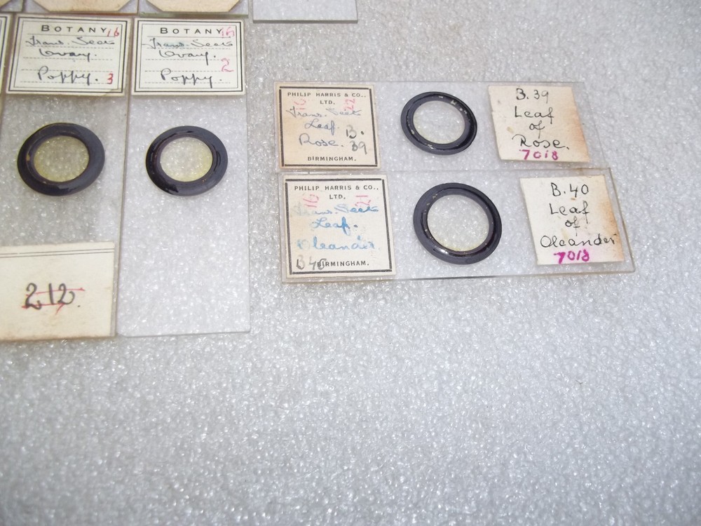 Vintage Glass Microscope Slides -