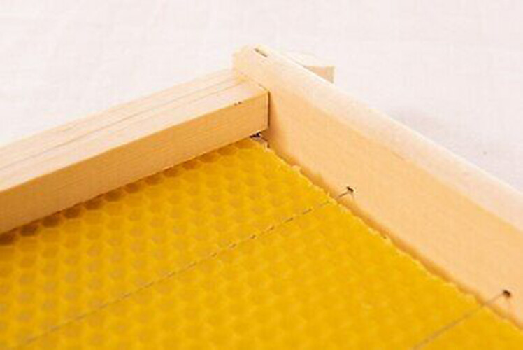 20 Bee Foundation Deep Bee Hive Wax Foundation Bee Hive Frames with Wire