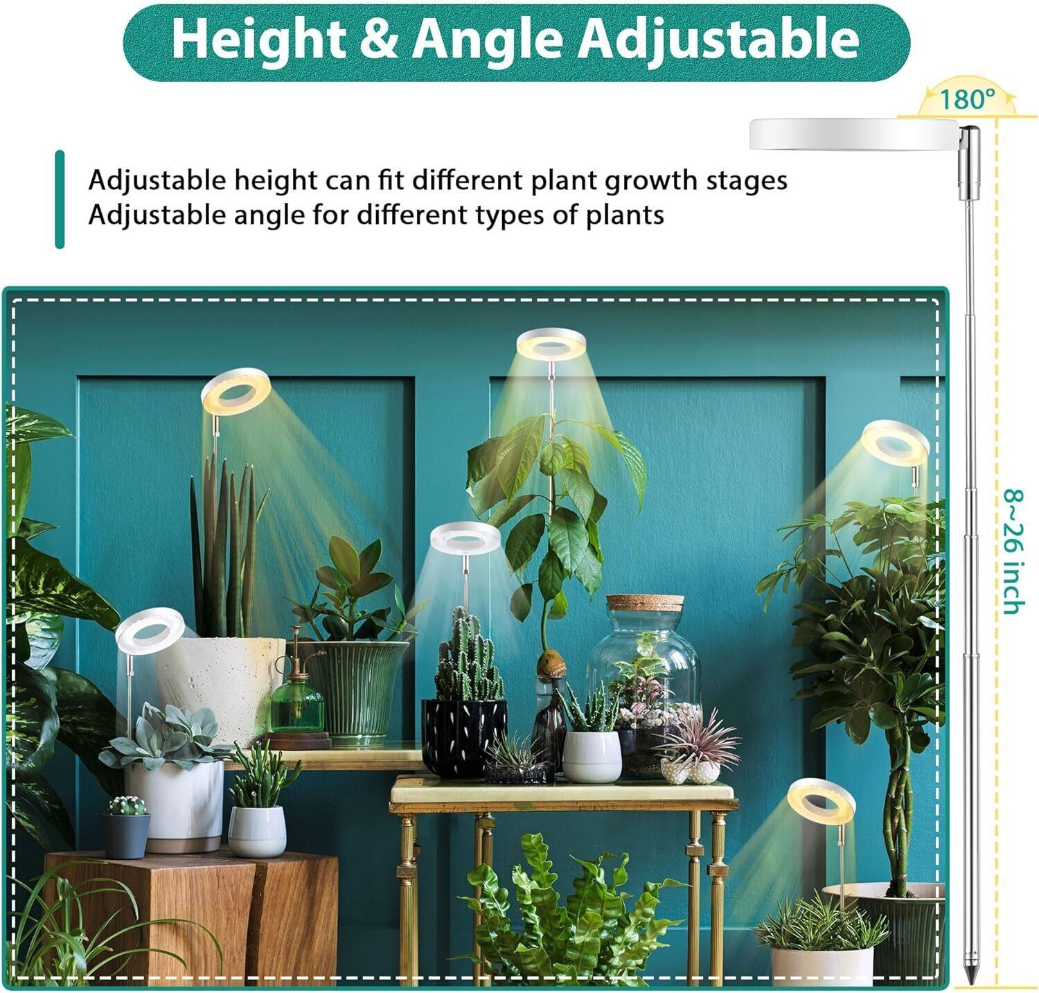 LED Grow Light Full Spectrum Indoor Plant Lamp with Timer