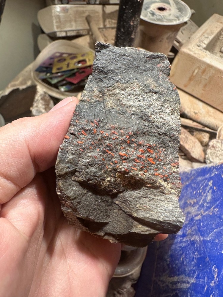 Dinosaur bone rough chunk. (344.7 grams)