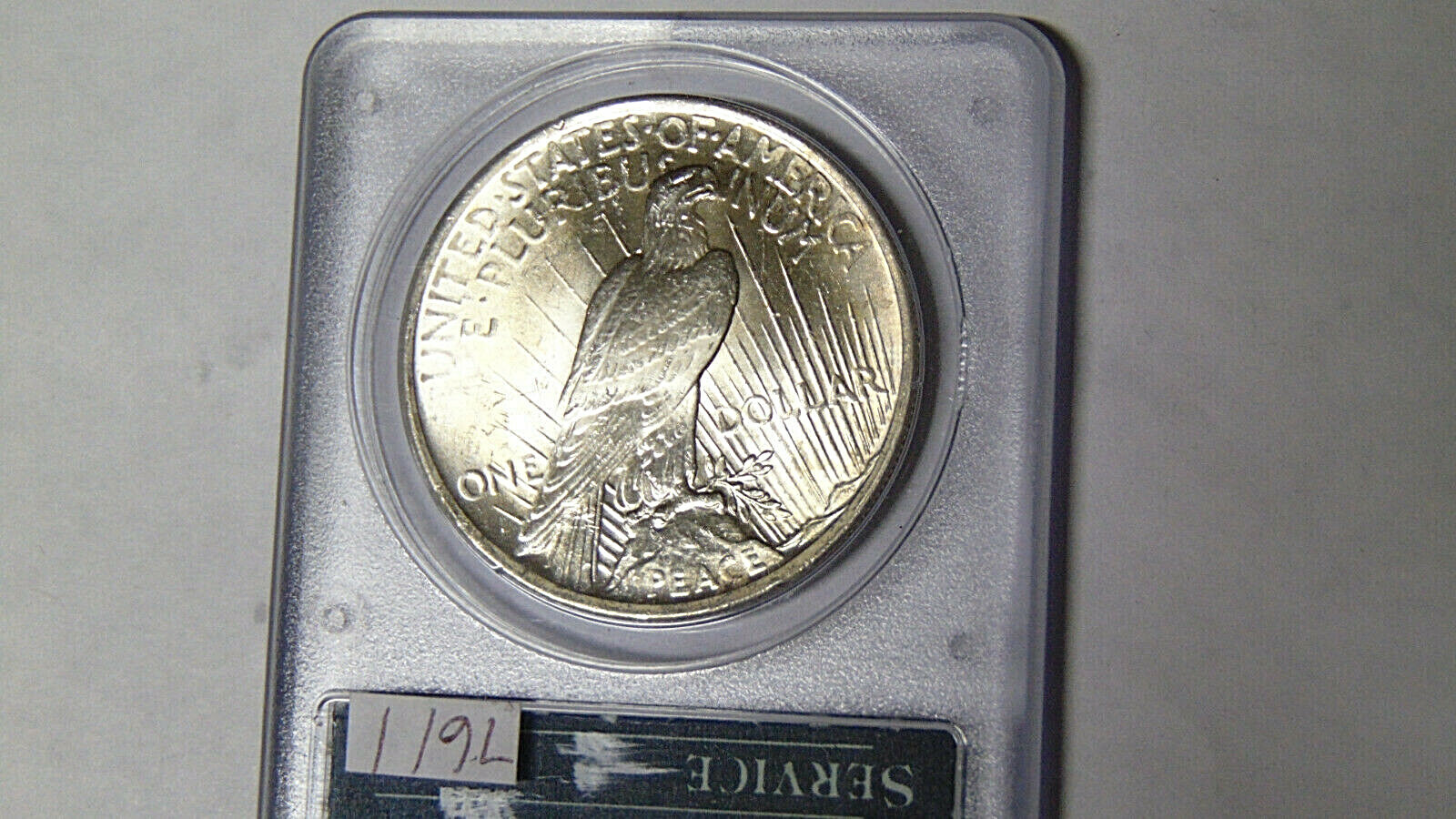 PCGS MS63 1923-P Peace Silver Dollar Philadelphia Mint Rattler Holder #7230504