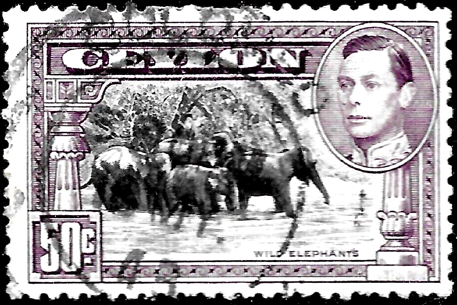 1938 Ceylon Sc #286 used VF ELEPHANTS