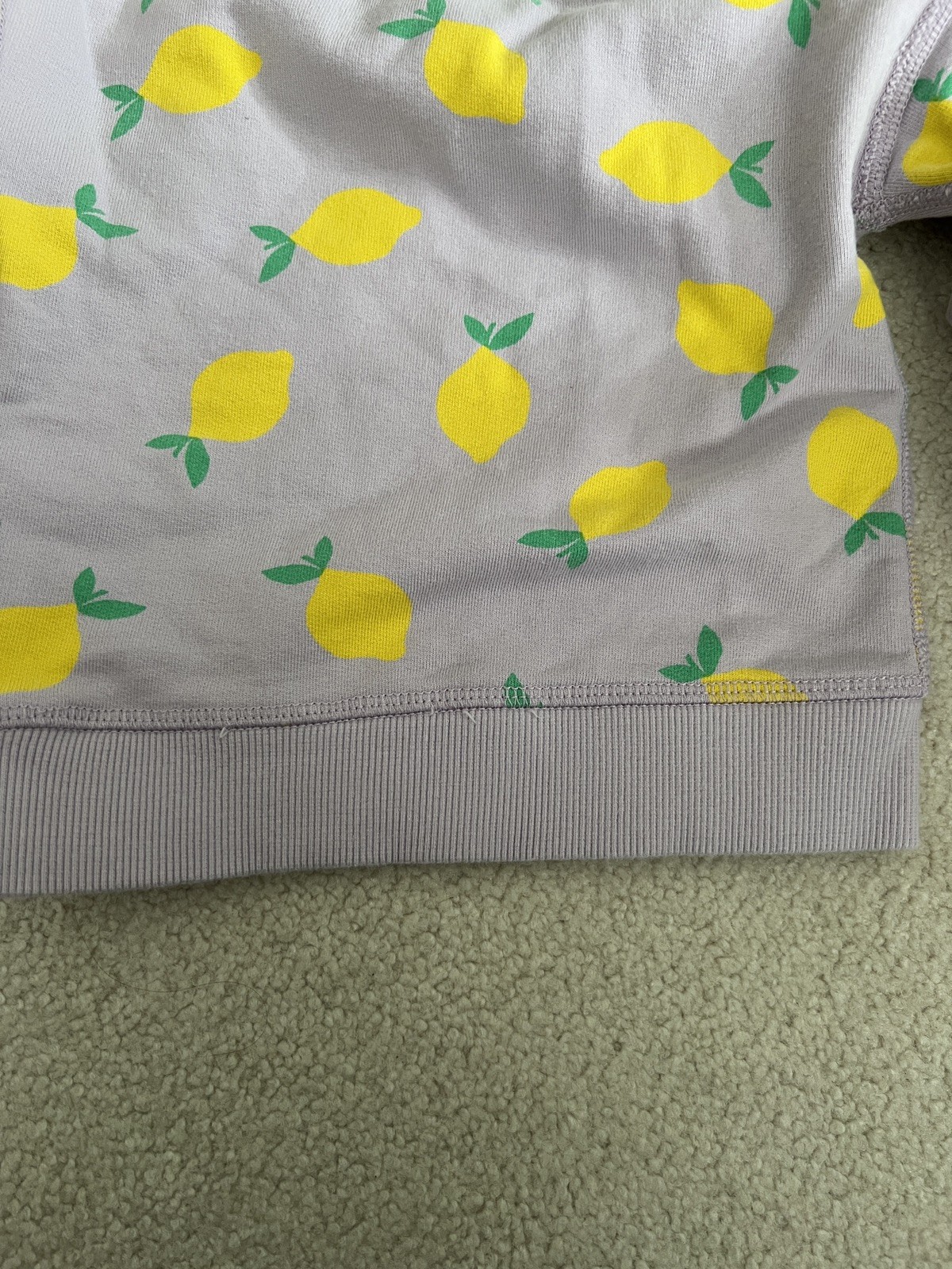 Hanna Andersson matching Purple Lemon Sweater & Pants Set. Size 6-12 mos, 70 cm