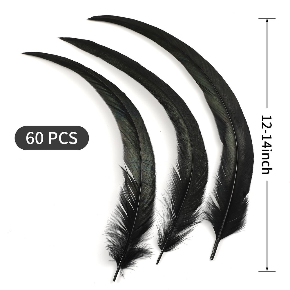 Long Rooster Tail Feathers Bulk, 60Pcs, Costume Decor, Black