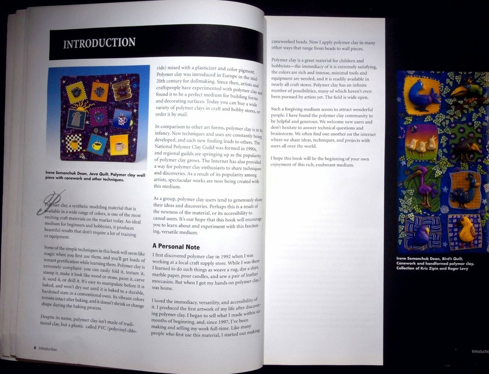 POLYMER CLAY : 20 WEEKEND PROJECTS USING NEW AND EXCITING TECHNIQUES IRENE