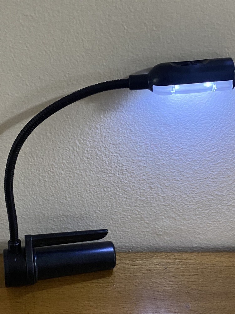 Great Point Light Spike Bright 2 LED Reading Book Clip