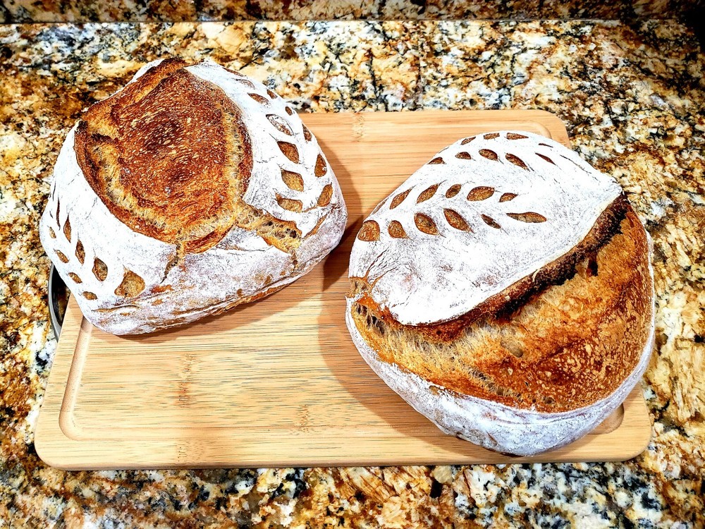 Organic DEHYDRATED SOURDOUGH STARTER