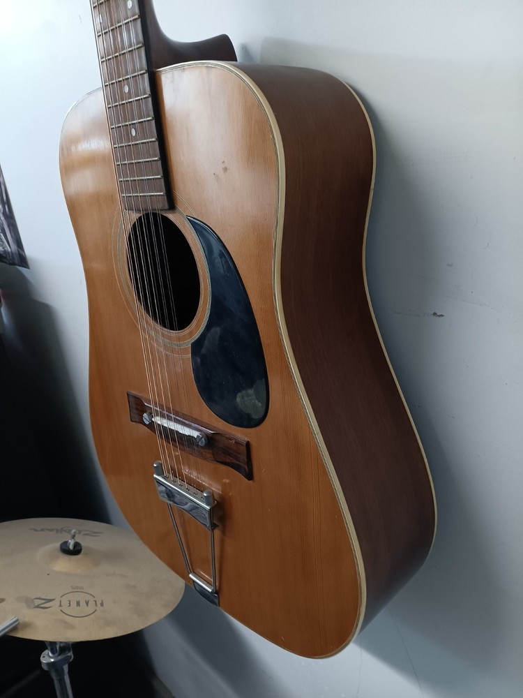 pan acoustic 12 string w/case