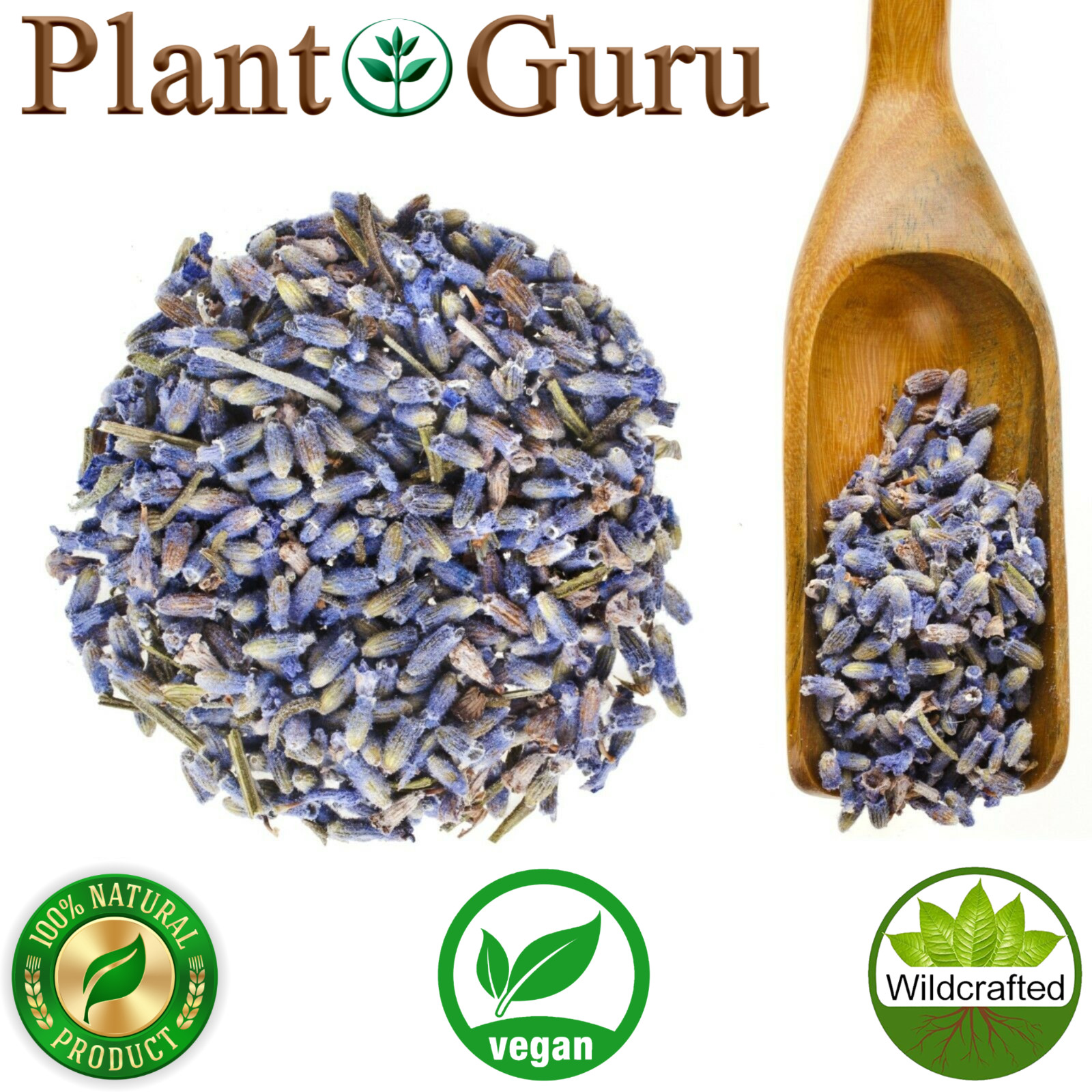 Lavender Flower Buds Dried Fresh Bulk Wholesale Lavandula Angustifolia
